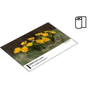 SERIES230 Lustre 02
